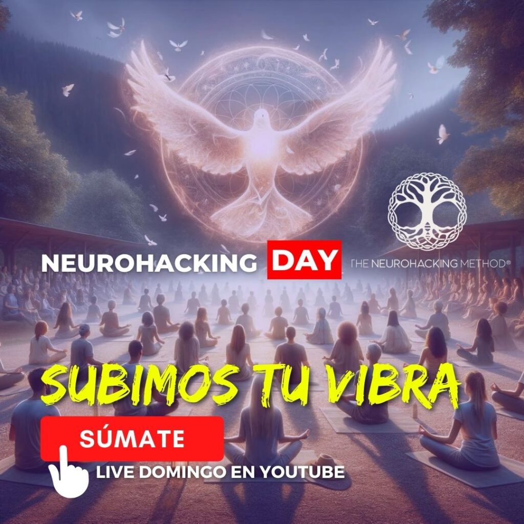 meditacion de los domingos neurohacking