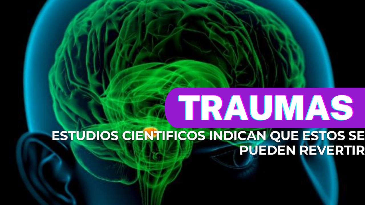 cerebro traumado neurohacking